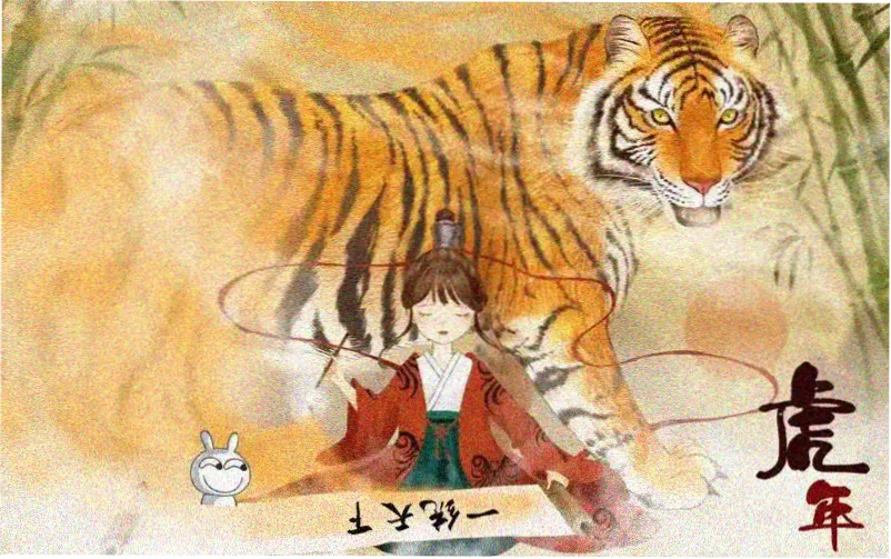 《娃娃脸》1977美国电影档案页头图，货架式资料排列示意